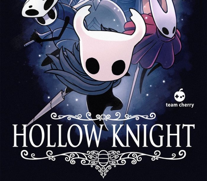 Hollow Knight PC Steam Account